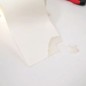 Natural Eco-Friendly Water-Soluble Corn Starch Stickers